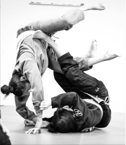 Like Minded Jiu Jitsu